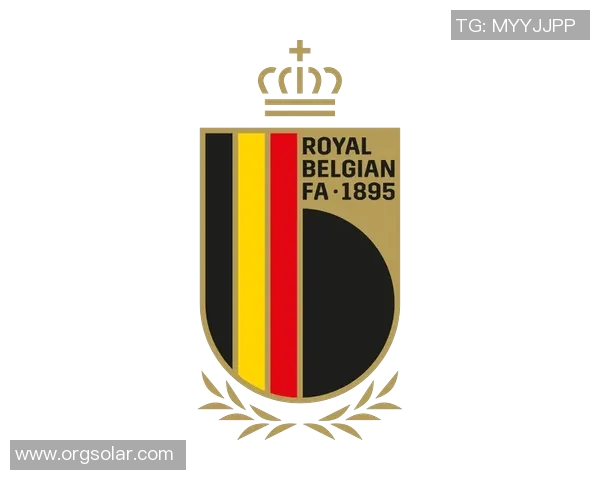 比利时足球队核心球员崛起引领国家队迈向新辉煌