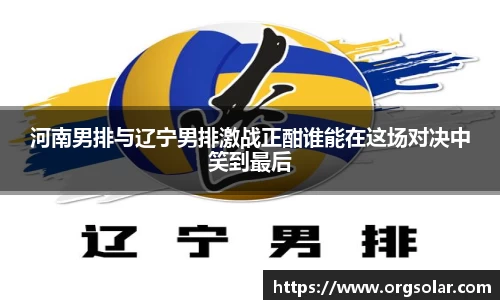 河南男排与辽宁男排激战正酣谁能在这场对决中笑到最后