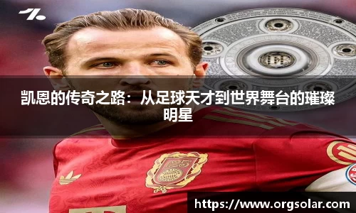 emc易倍