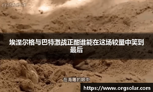 emc易倍体育